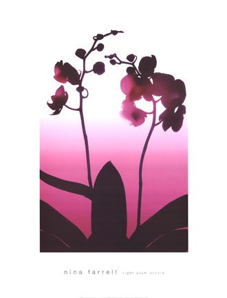 Light Plum Orchid