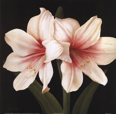 Contemporary Lily I