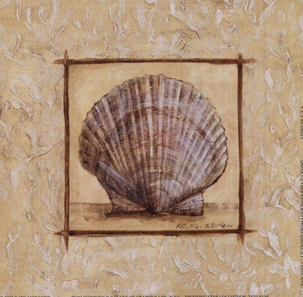 Fan Shell