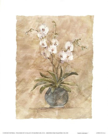 White Orchids I