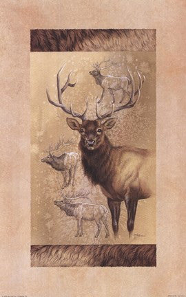 Elk