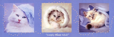 Simply Bluetiful