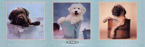 All-Terrain Buckets