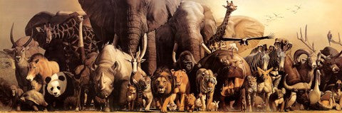 Noah's Ark