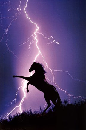 Lightning And Silhouette Of Horse
