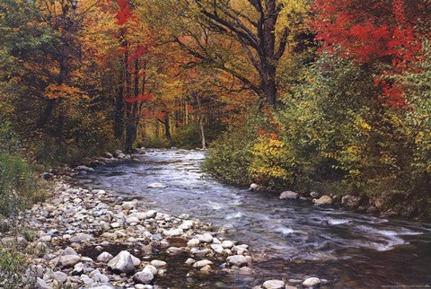Autumn Leaves