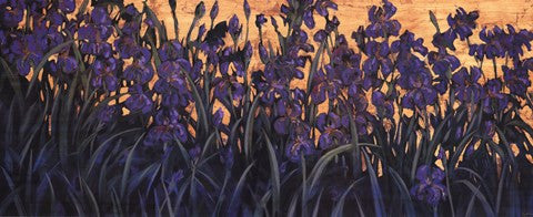 Iris