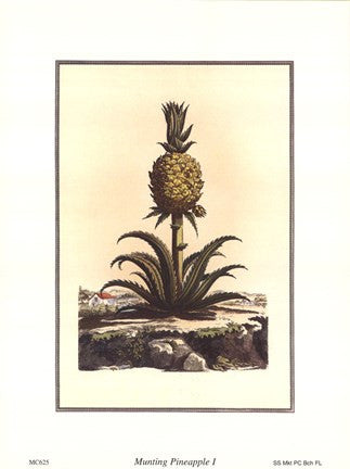 Pineapple I