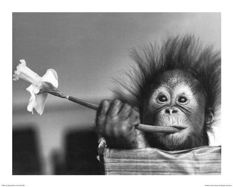 Hair Raising Experience