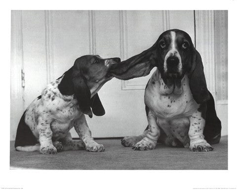 Lend Me Your Ear