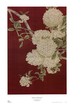 Butterfly and Hydrangea II