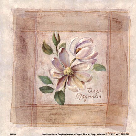 Tree Magnolia