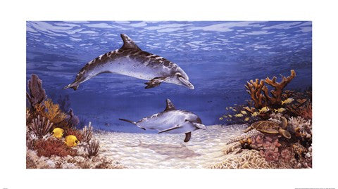 Dolphin World