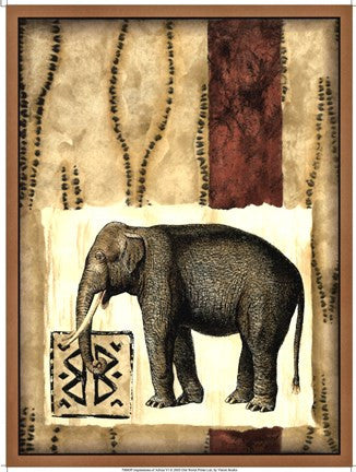 Impressions of Africa VI