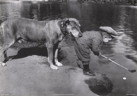 Retrieving The Ball