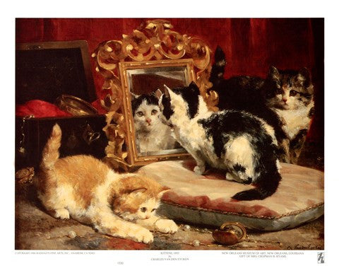 Kittens, 1893