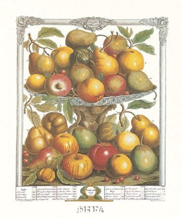 February-Twelve Months of Fruits, 1732