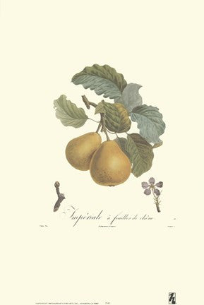 Pears-Imperiale