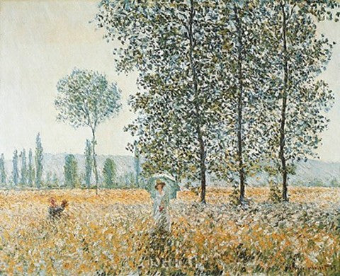 Fields in Spring