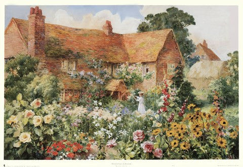 The Cottage in Summer