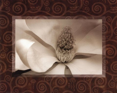 Magnolia Window I