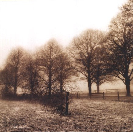 Fence Row and Trees