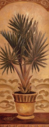 Tuscan Palm II