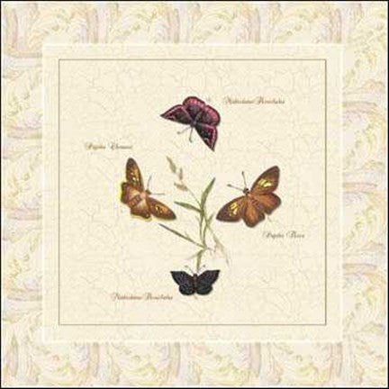 Papilio II