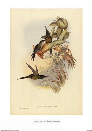 Eugenia Imperatrix