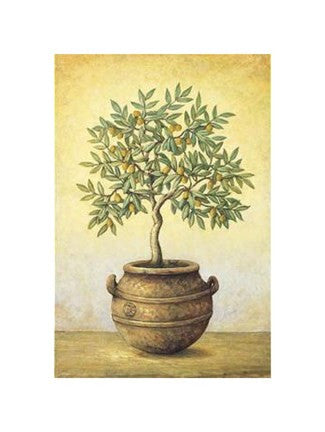 Green Olive Tree