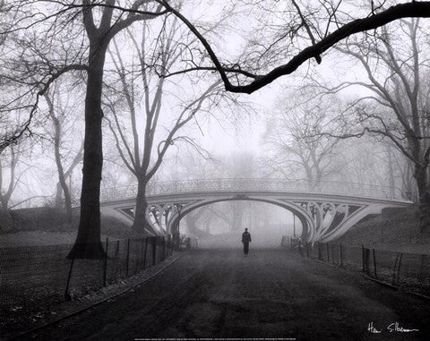 Gothic Bridge, Central Park, NYC