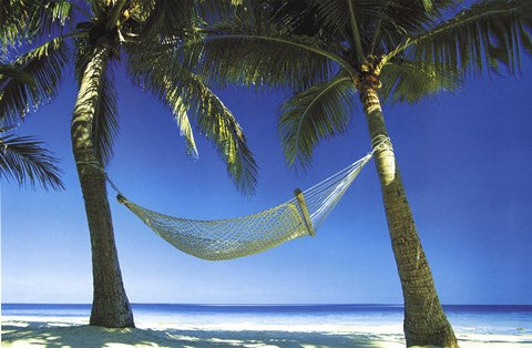 Paradise Beach Scene