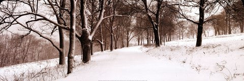 First Snow I