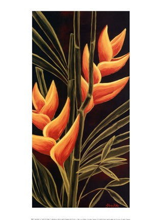 Heliconia