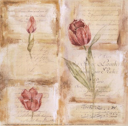 Rose Concerto III