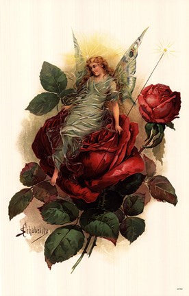 Fairy On Rose