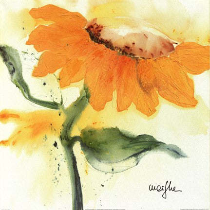 Tournesol IV