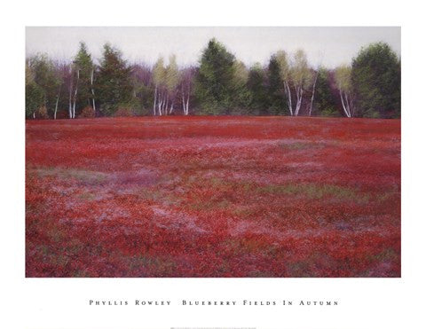 Blueberry Fields in Autumn