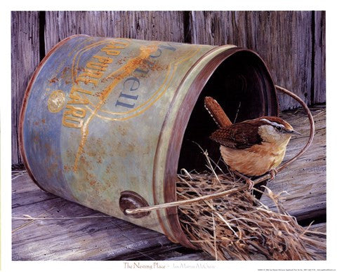Nesting Place