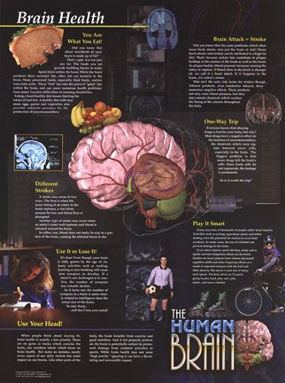 Brain Health