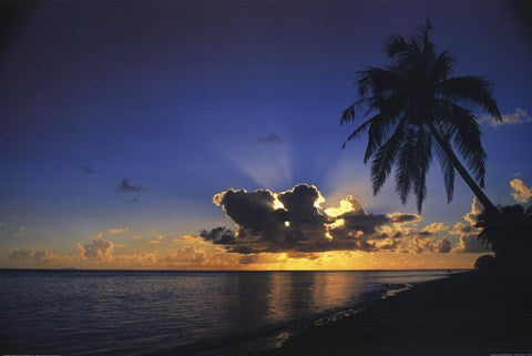 Sunrise Paradise