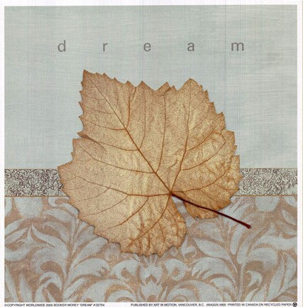 Dream