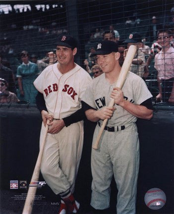 Ted Williams - Mickey Mantle
