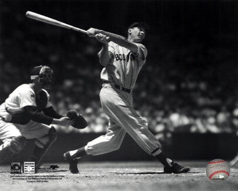 Ted Williams - Batting (sepia)