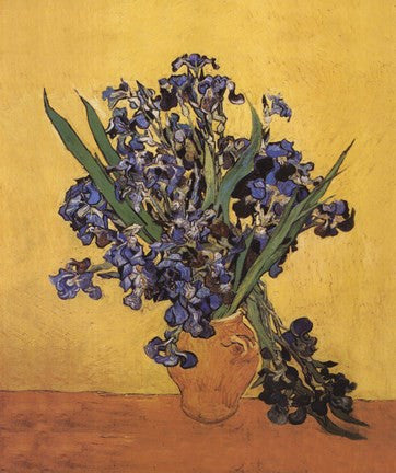 Les Irises