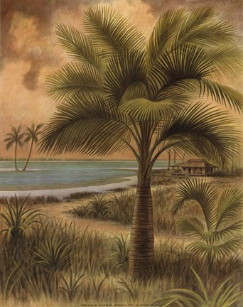 Island Palm II