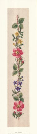 String Of Roses II