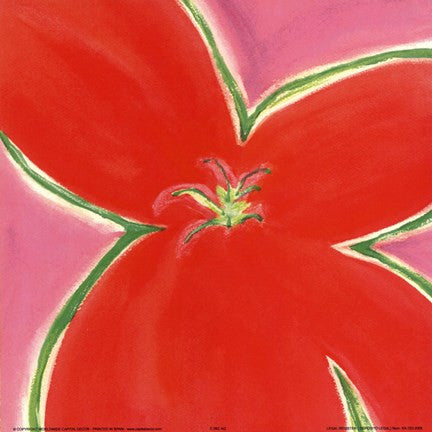 Red Flower With Pink Background