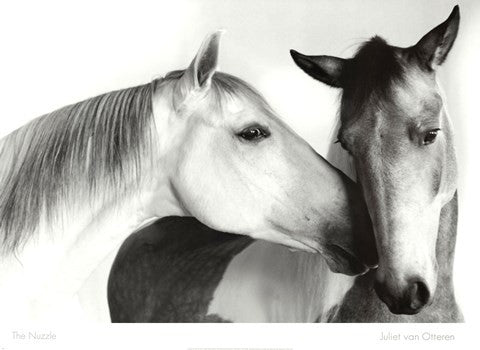 Nuzzle