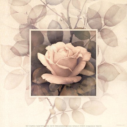 Rose II